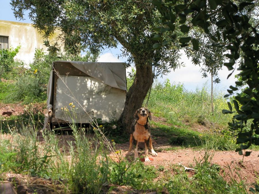 gal/2008-04 Portugal/Adrien/0114.jpg